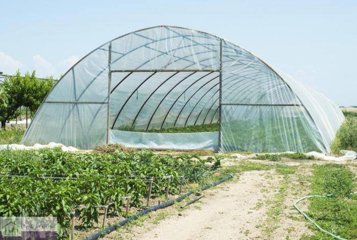 Фермерские теплицы: характеристика, преимущества и недостатки основных видов