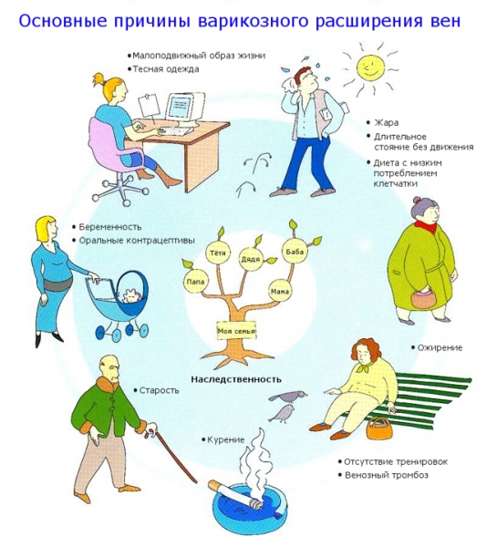Флебодиа или флебофа: что лучше и в чем разница (отличие составов, отзывы врачей)