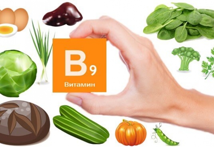 Фолиевая кислота витамин в9