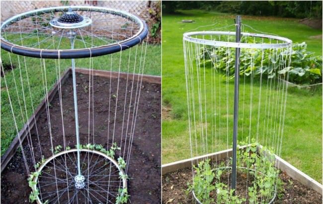 Формирование вертикальных грядок для огурцов