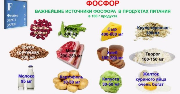 Фосфор для чего нужен организму
