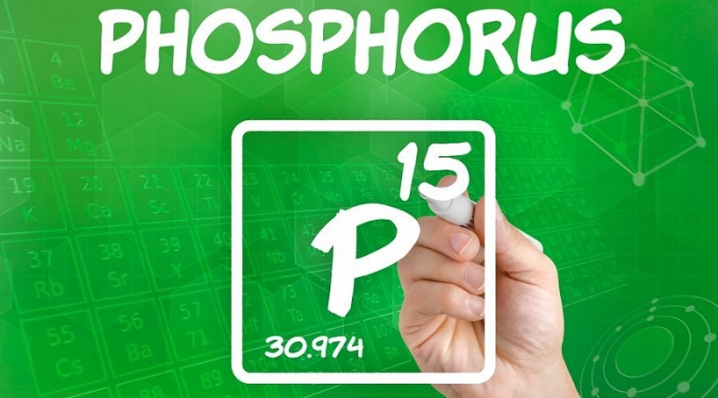 Фосфор для чего нужен организму