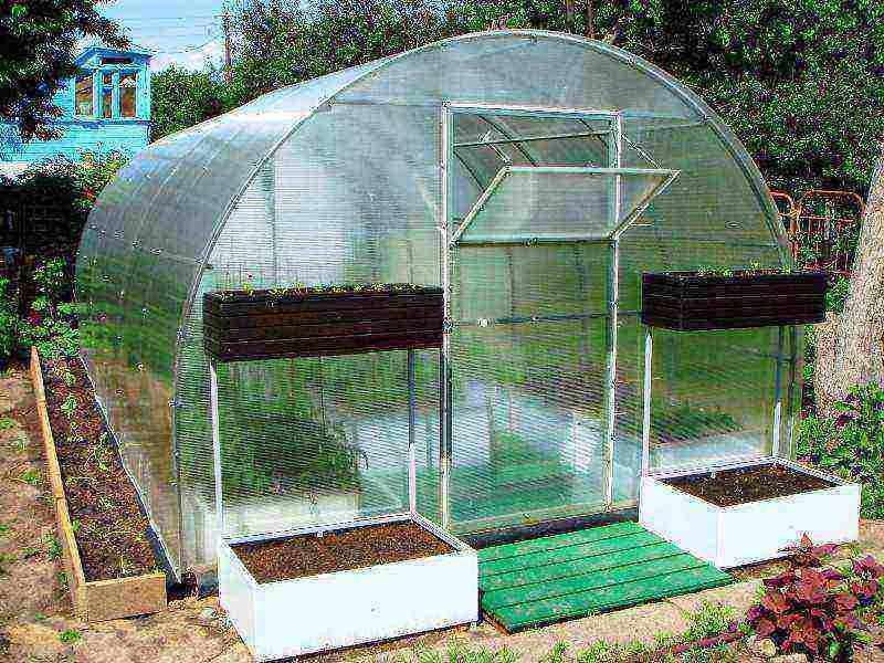 Фундамент под теплицу из поликарбоната: выбор вида и технология изготовления