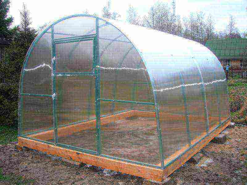 Фундамент под теплицу из поликарбоната: выбор вида и технология изготовления