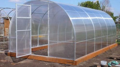 Фундамент под теплицу из поликарбоната: выбор вида и технология изготовления