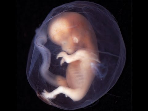 Гадание на беременность — описание каждого вида, что можно узнать