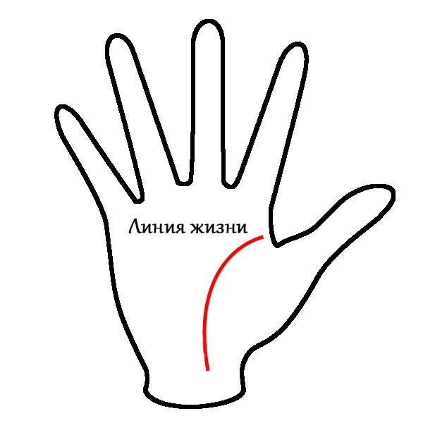 Гадание по руке: как узнать свою судьбу с помощью хиромантии