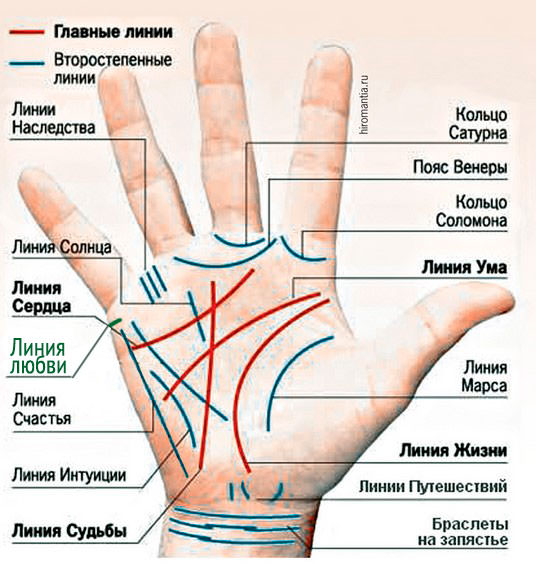 Гадание по руке: как узнать свою судьбу с помощью хиромантии