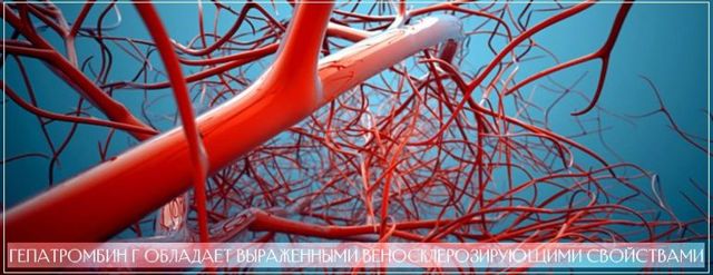 Гепатромбин г и гепариновая мазь: что лучше и в чем разница (отличие составов, отзывы врачей)