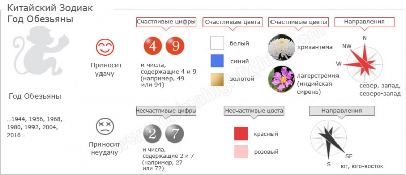 Год Обезьяны — судьба и характер знака в разных аспектах жизни, совместимость