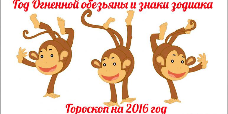 Год Обезьяны — судьба и характер знака в разных аспектах жизни, совместимость