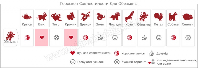 Год Обезьяны — судьба и характер знака в разных аспектах жизни, совместимость