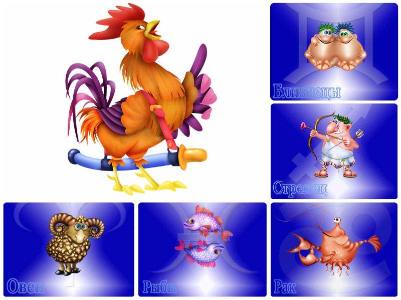 Год Петуха — судьба и характер знака в разных аспектах жизни, совместимость