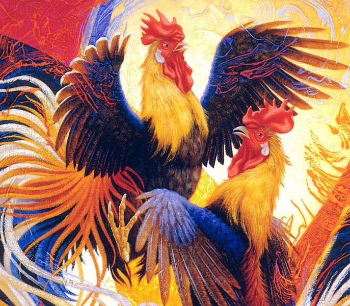 Год Петуха — судьба и характер знака в разных аспектах жизни, совместимость