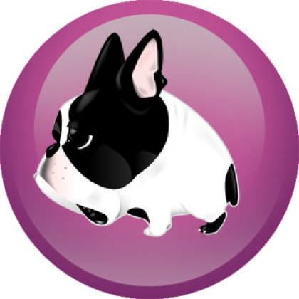 Год собаки: какие отличительные черты он имеет?