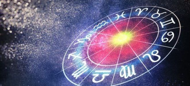 Год собаки: какие отличительные черты он имеет?