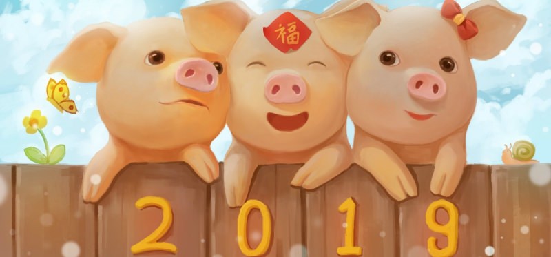 Год Свиньи — судьба и характер знака в разных аспектах жизни, совместимость