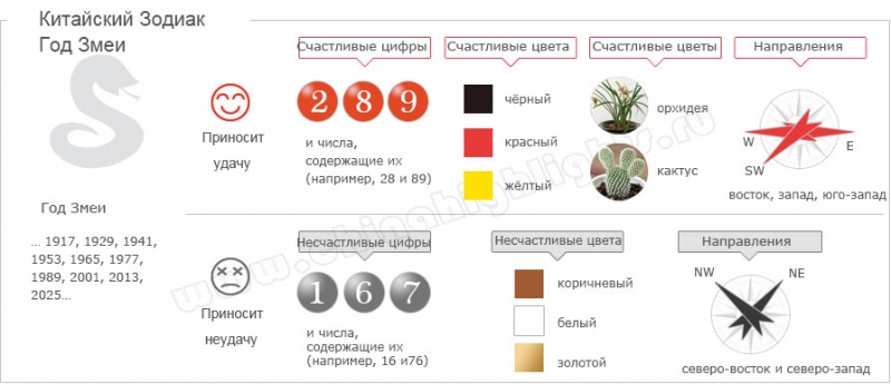 Год Змеи — судьба и характер знака в разных аспектах жизни, совместимость