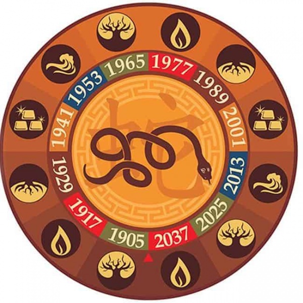 Год Змеи — судьба и характер знака в разных аспектах жизни, совместимость