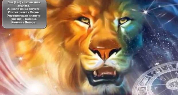 Гороскоп расскажет, к чему готовиться львам в ноябре 2019-го года