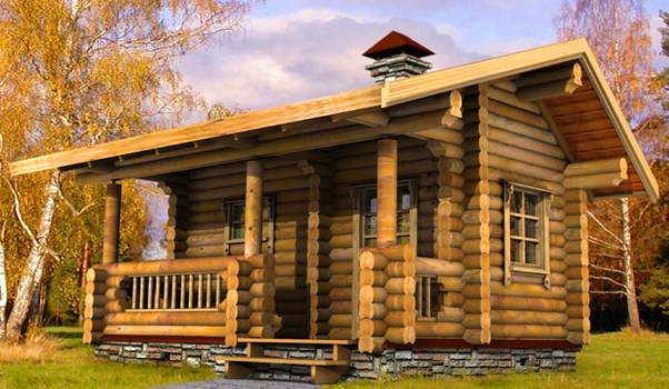 Гостевой дом и баня: как правильно построить – всё о банях