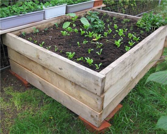 Грядки из досок: достоинства и недостатки, особенности самостоятельного изготовления