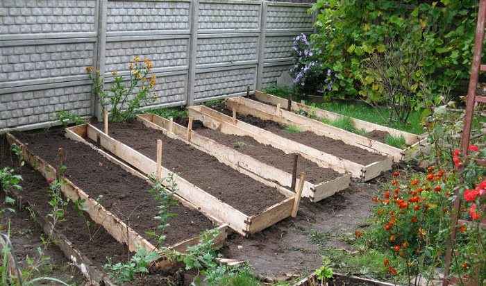 Грядки из досок: достоинства и недостатки, особенности самостоятельного изготовления