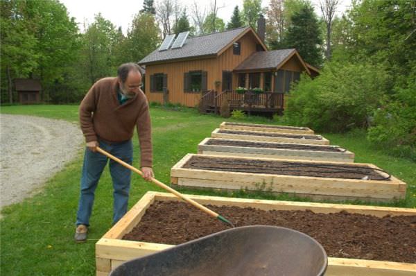 Грядки из досок: достоинства и недостатки, особенности самостоятельного изготовления