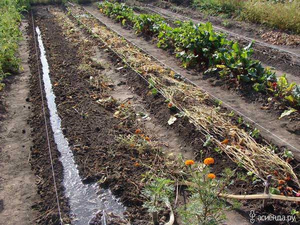 Грядки по митлайдеру: особенности и преимущества конструкций