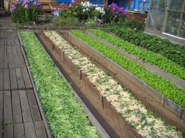 Грядки по митлайдеру: особенности и преимущества конструкций