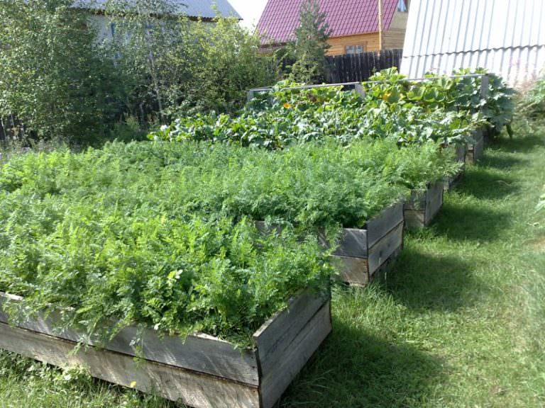 Грядки по митлайдеру: особенности и преимущества конструкций