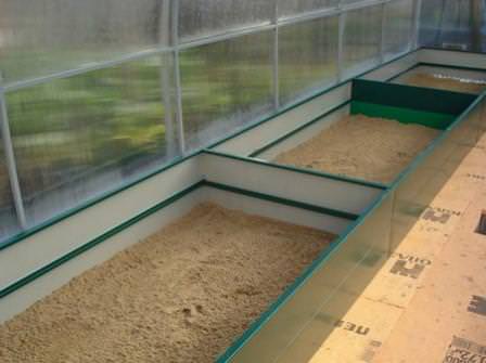 Грядки в теплице: правила размещения и особенности самостоятельного изготовления