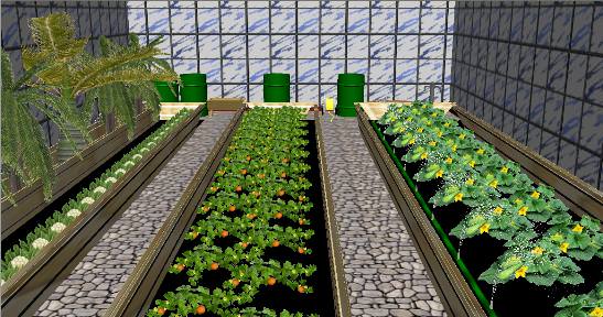 Грядки в теплице: правила размещения и особенности самостоятельного изготовления