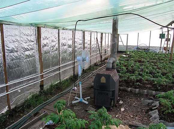 Характеристика теплиц с подогревом