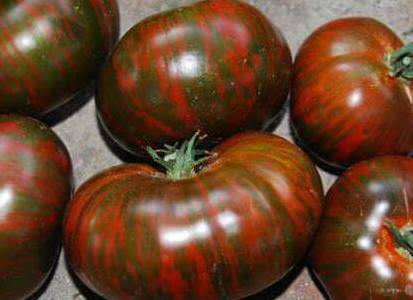 Характеристика томата полосатый шоколад: отзывы и фото