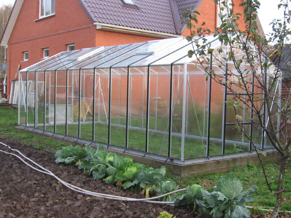 Характеристики и разновидности теплиц из стекла