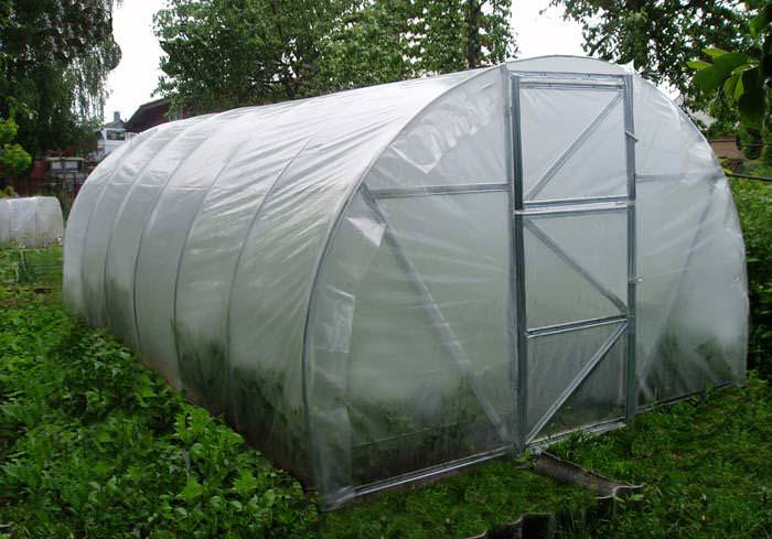 Характеристики разных видов пленки для теплицы