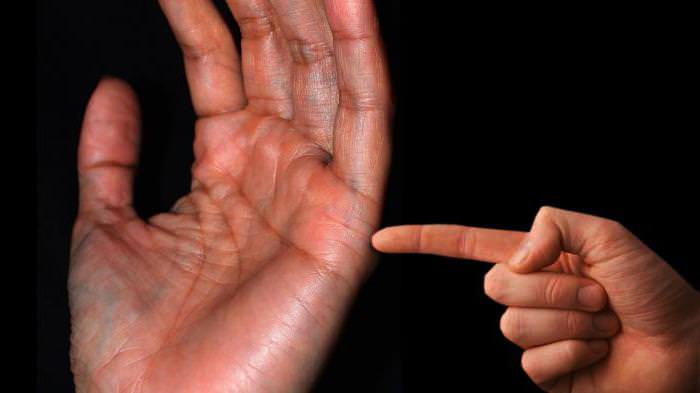 Хиромантия: как правильно гадать по внутренней части руки