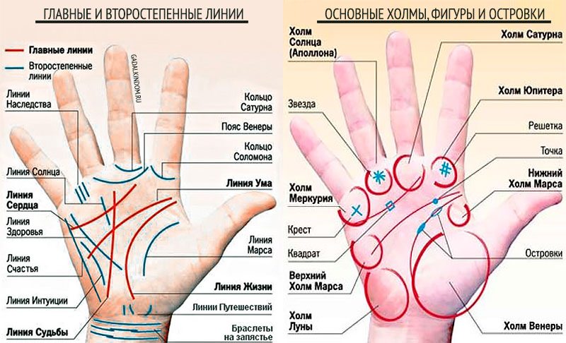 Хиромантия: как правильно гадать по внутренней части руки