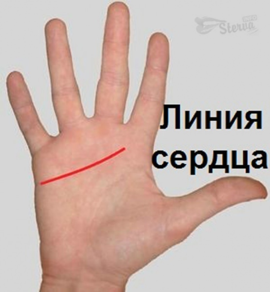 Хиромантия по руке: расшифровки линий от знаменитости до интуиции