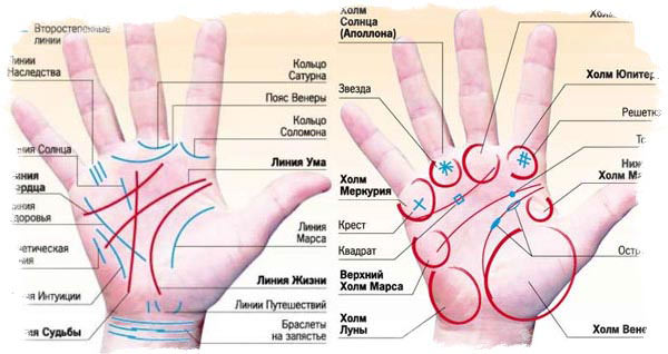 Хиромантия по руке: расшифровки линий от знаменитости до интуиции