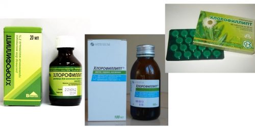 Хлорофиллипт и димексид – можно ли принимать одновременно (совместимость)