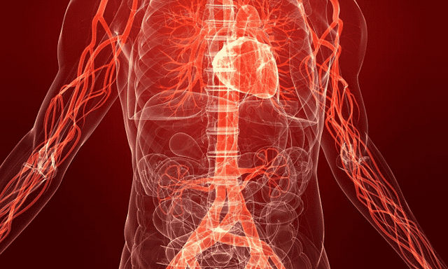 Хлорофиллипт и димексид – можно ли принимать одновременно (совместимость)