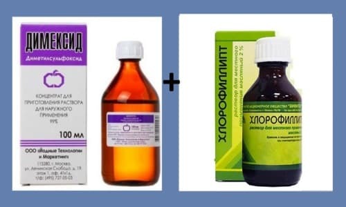 Хлорофиллипт и димексид – можно ли принимать одновременно (совместимость)