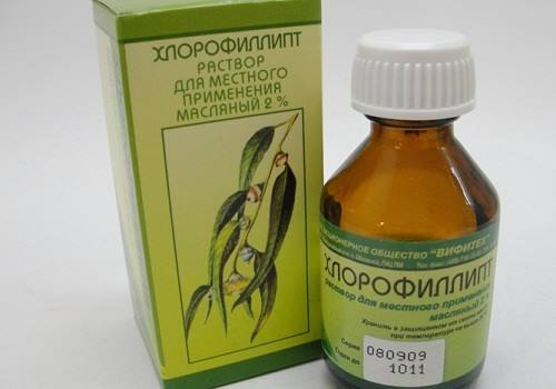 Хлорофиллипт и димексид – можно ли принимать одновременно (совместимость)