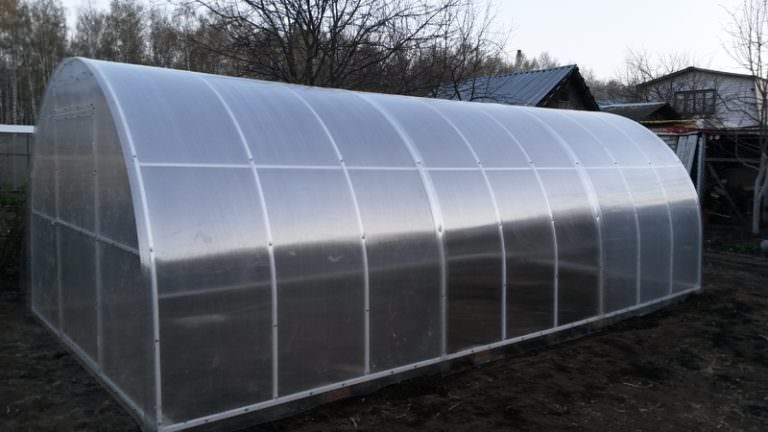 Хотелось бы узнать побольше о теплице дачница усиленная
