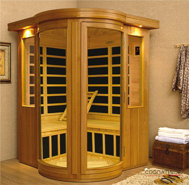 Ик сауна – чудо современности – всё о банях