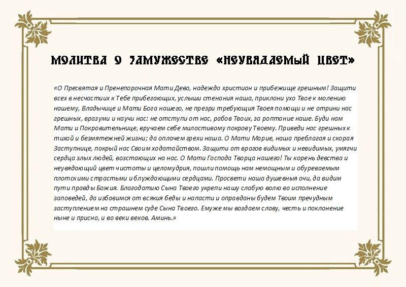 Икона «Неувядаемый Цвет» — описание, кому и для чего ей молиться, дни почитания, где расположить