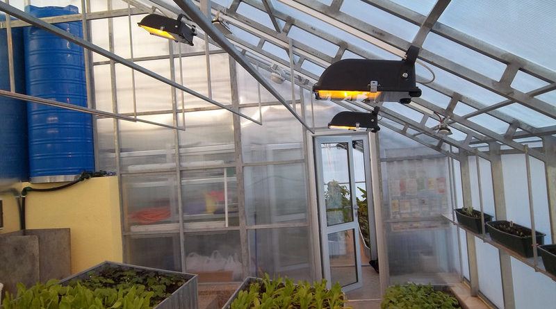 Инфракрасные обогреватели для теплицы: правила выбора и эксплуатации