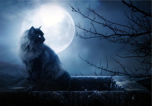 Исполнение снов и сновидений: в какие дни и числа они сбываются